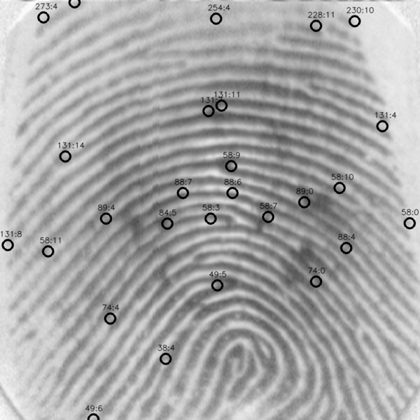 fingerprint1